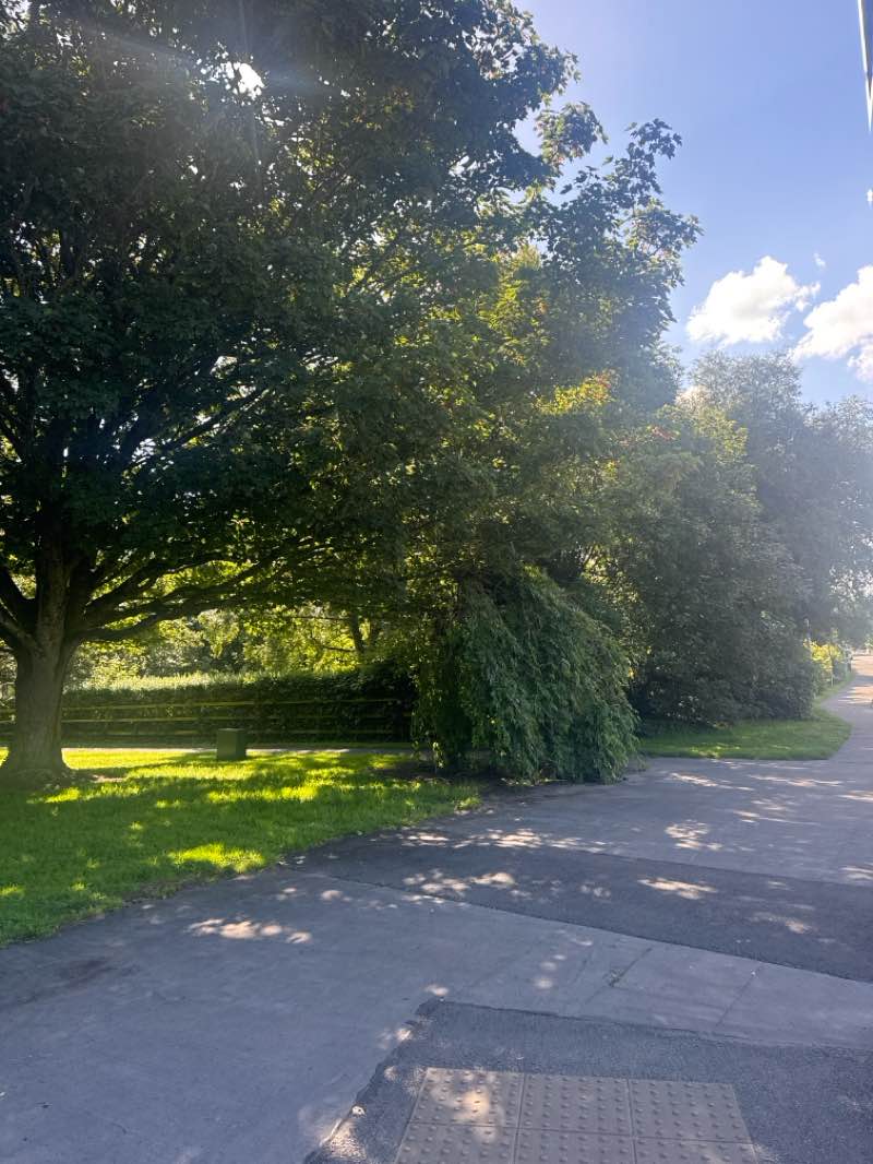 walking near me in Fair Green in summer