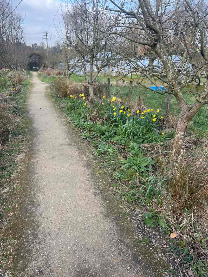 walking near me in Camphill nature trail in spring