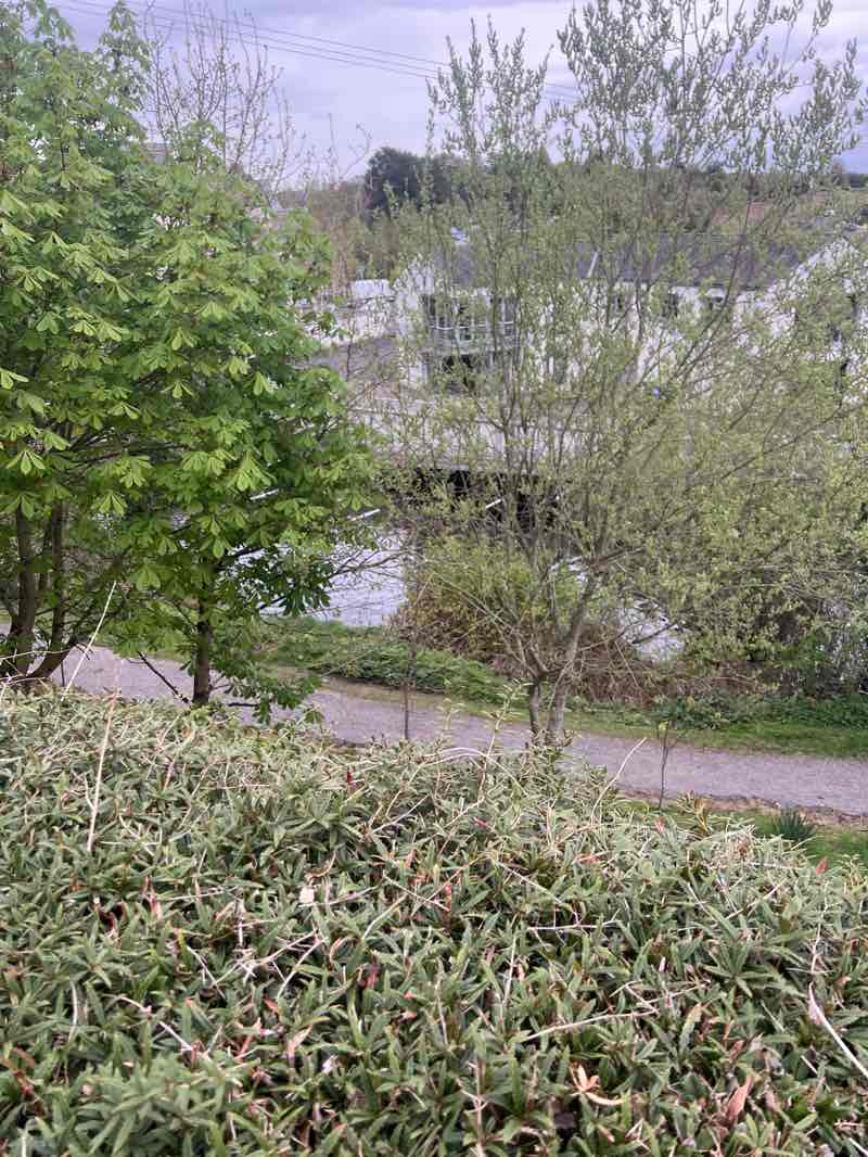 walking near me in Valley Park in spring