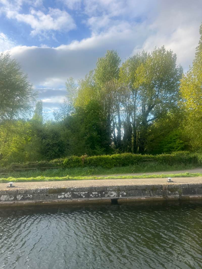 walking near me in Tannery Park in spring