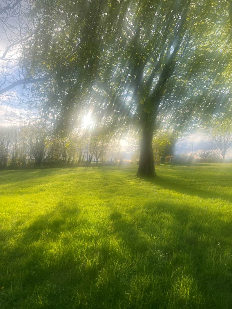 walking near me in Nicholastown in spring