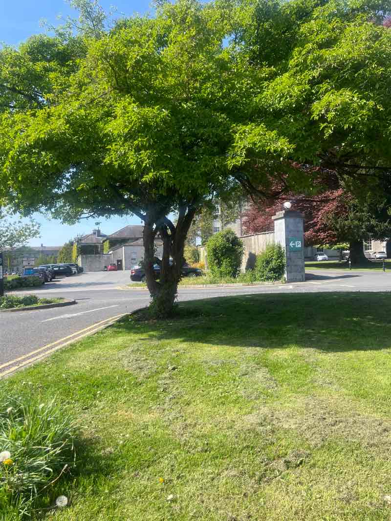 walking near me in Front Lawn in spring