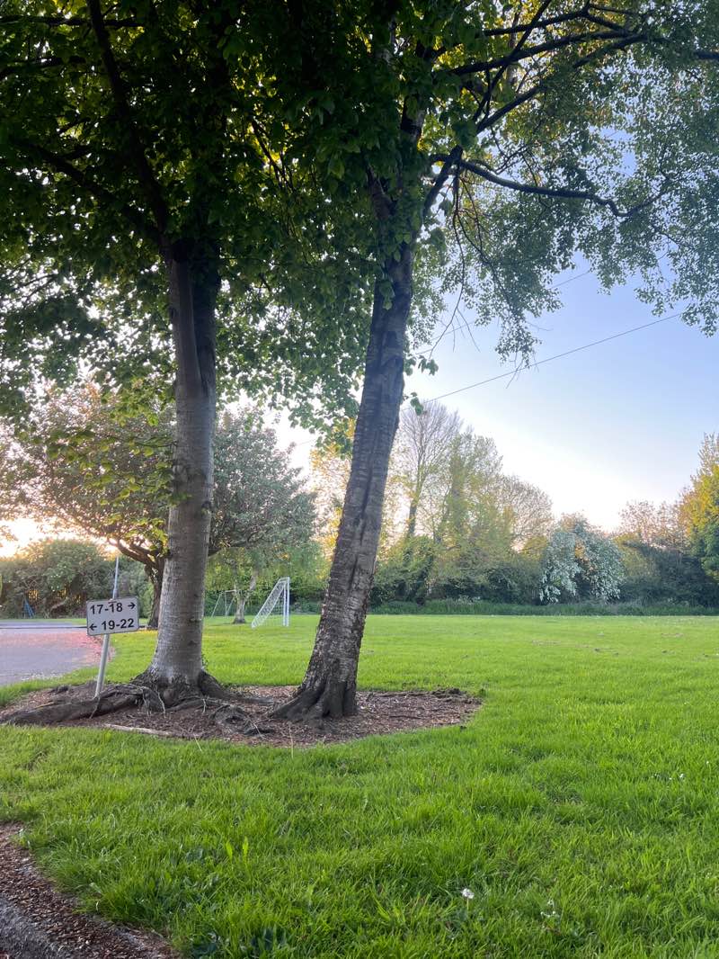 walking near me in Oakleigh Park in spring