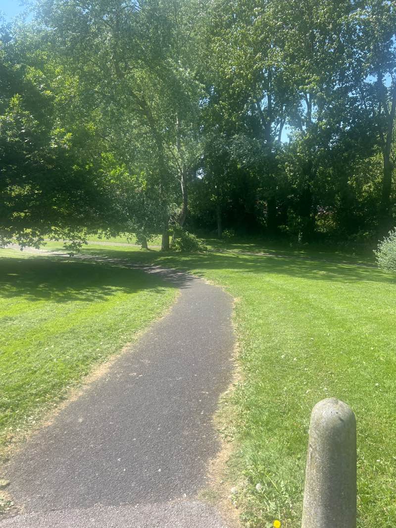 walking near me in Pound Park in spring