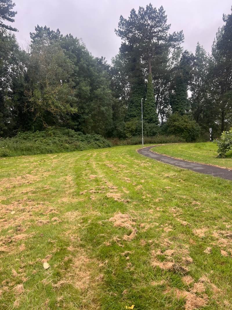 walking near me in Naas Workhouse Cemetery in autumn