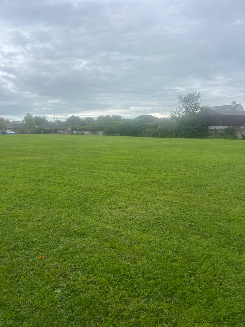 walking near me in The Grange in autumn