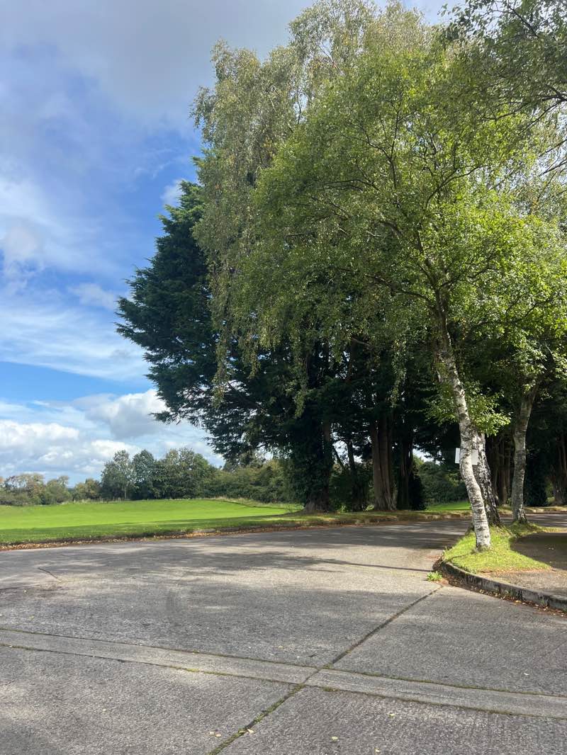 walking near me in The Dip in autumn