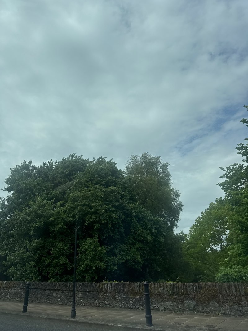 walking near me in Valley Park in summer