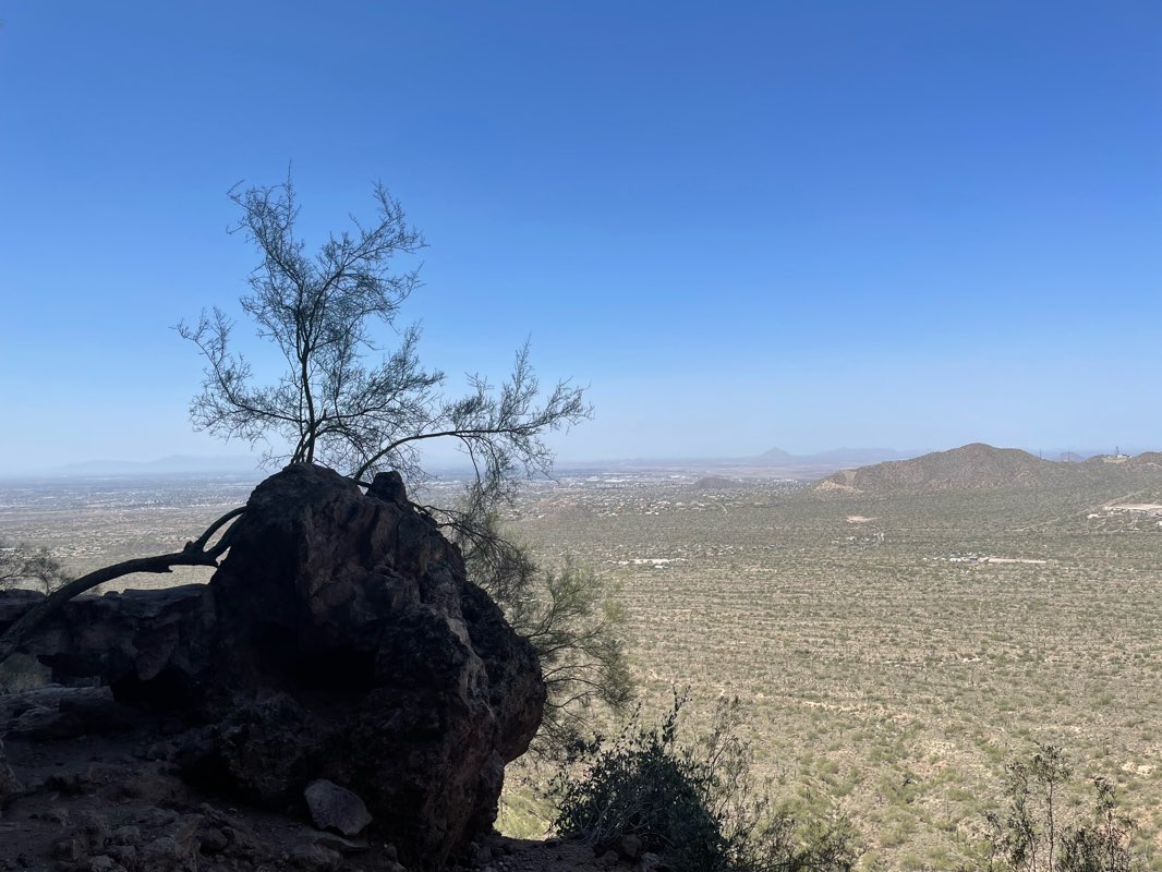 walking near me in Usery Mountain Regional Park in spring