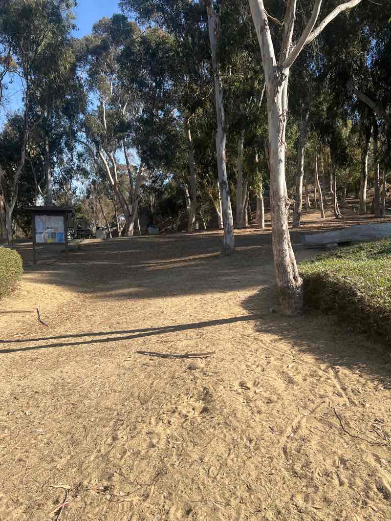 walking near me in Hosp Grove Park in winter