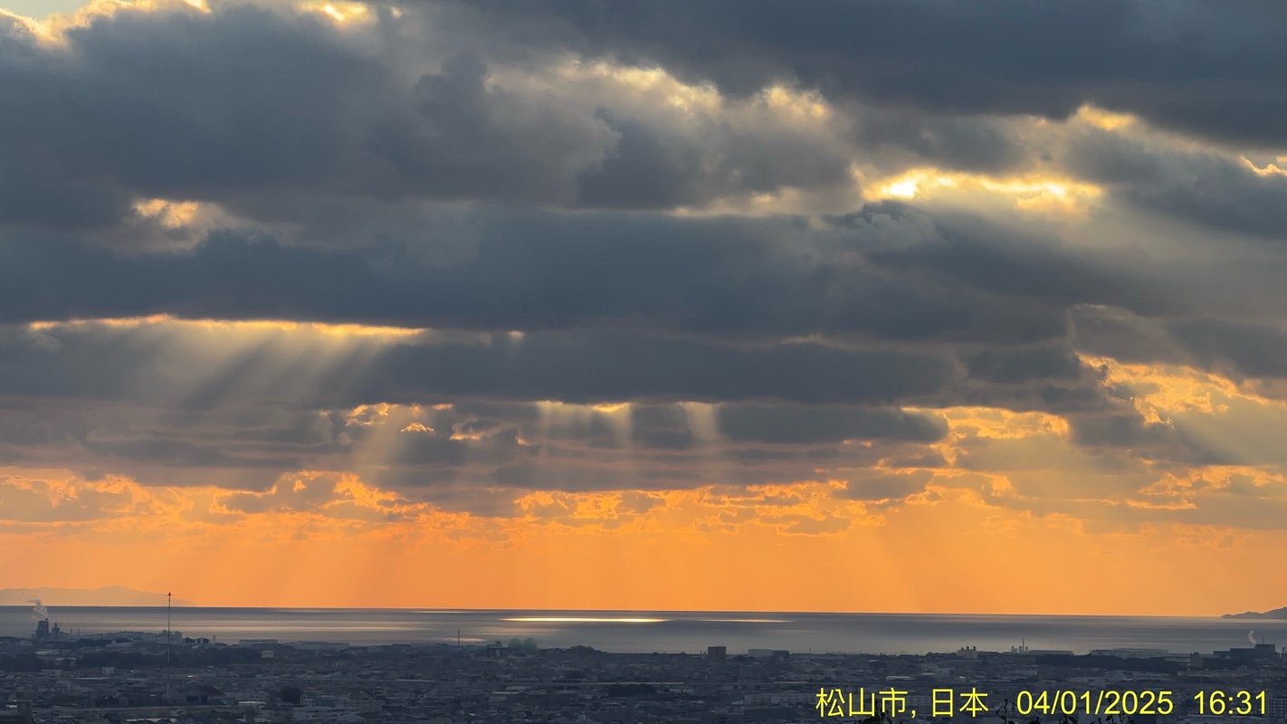 walking near me in 松山中央公園 in winter