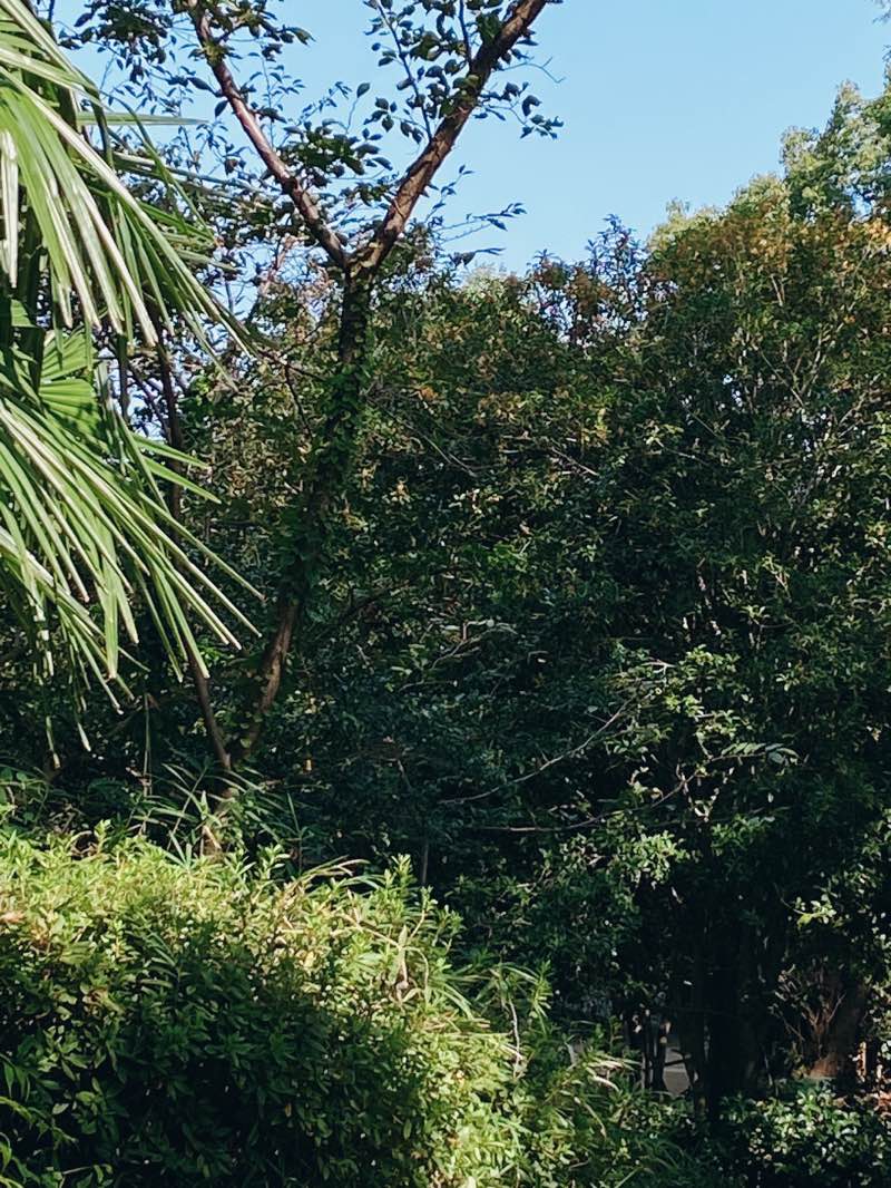 walking near me in Akashi Park in winter