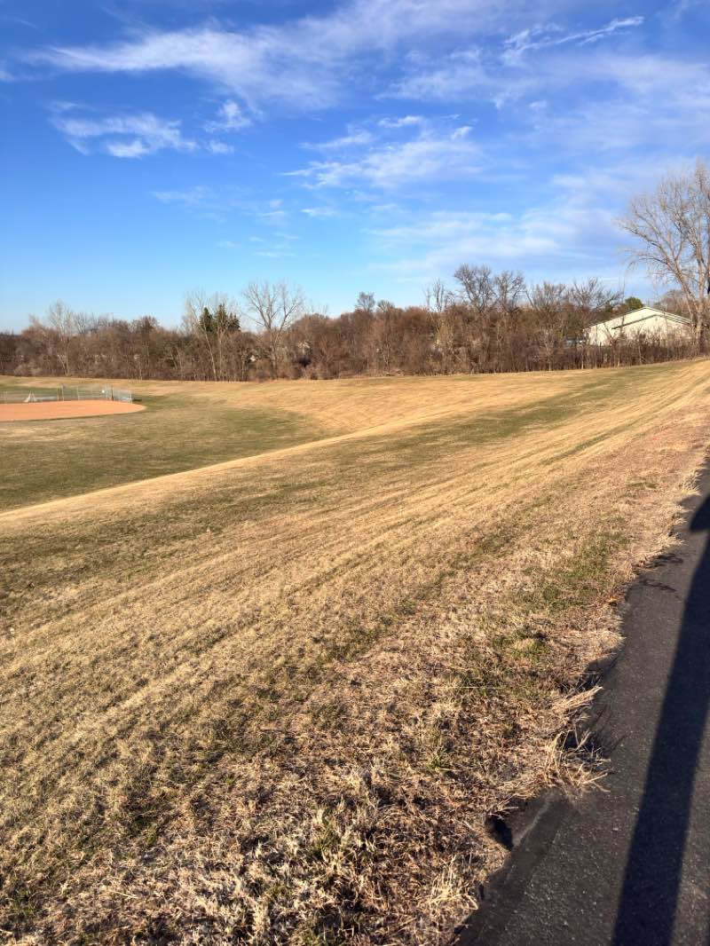 walking near me in Oak Shores Park in spring