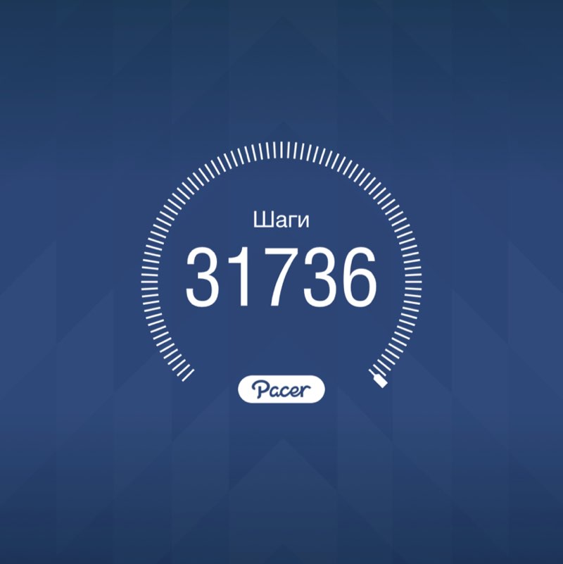 Гепарддд post 1