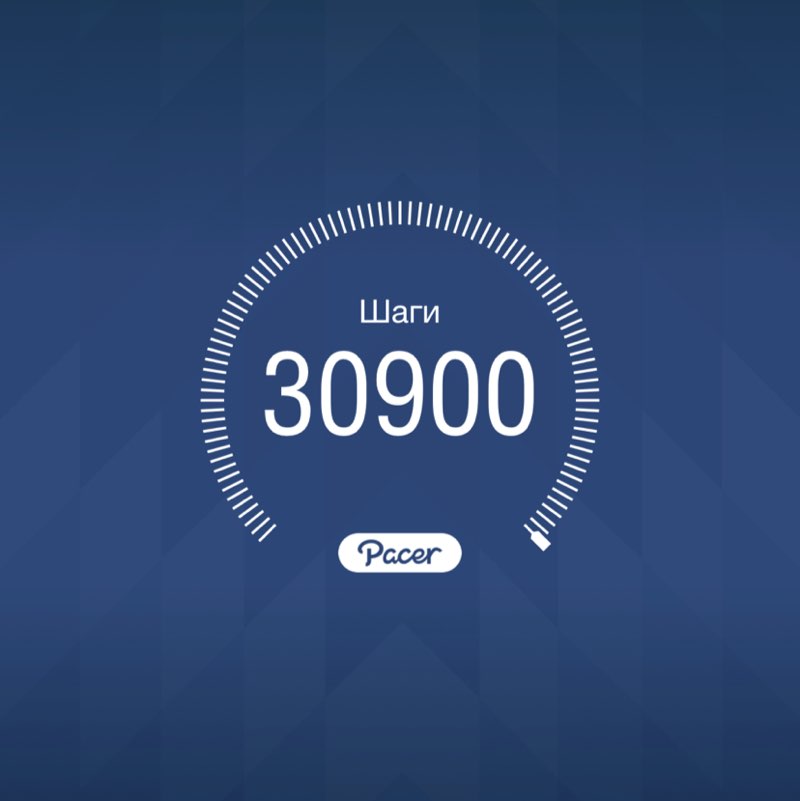 Гепарддд post 1