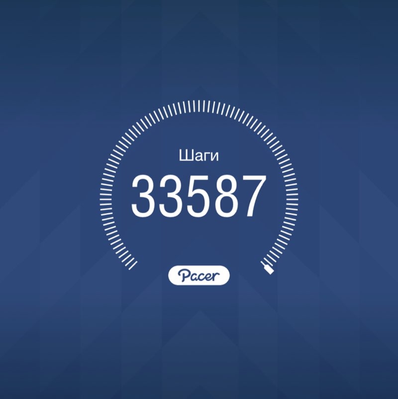 Гепарддд post 1