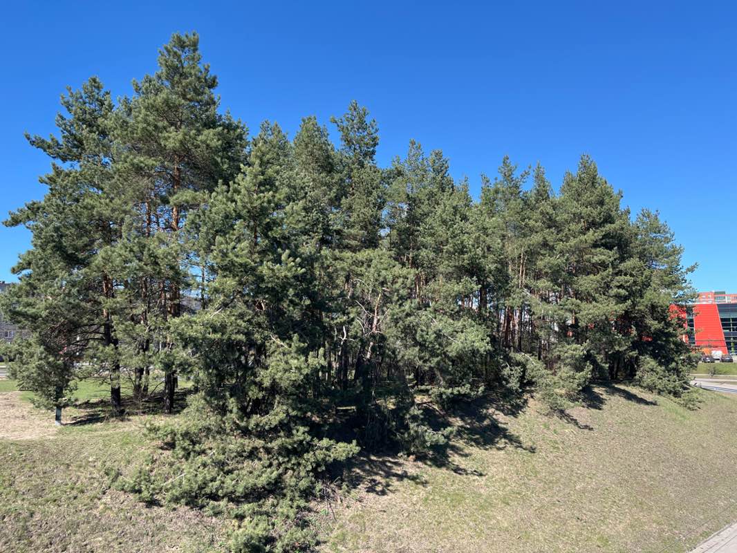 walking near me in Joensuu square in spring
