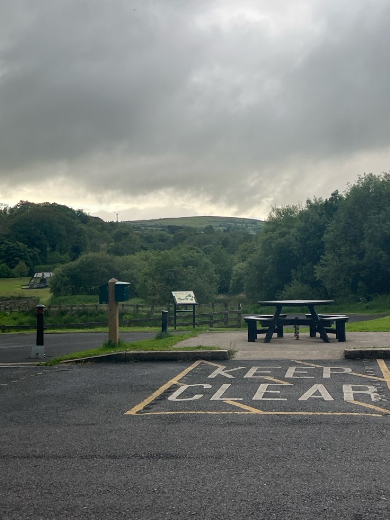 walking near me in Ness Country Park in summer