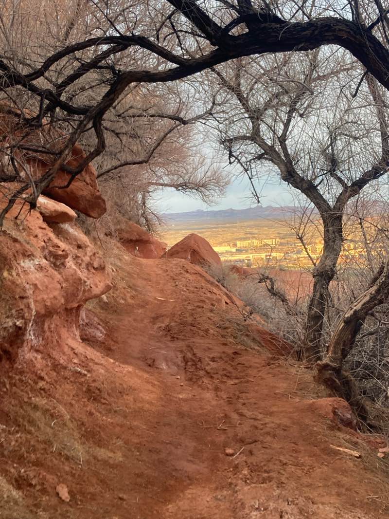 walking near me in John C Page Park in winter