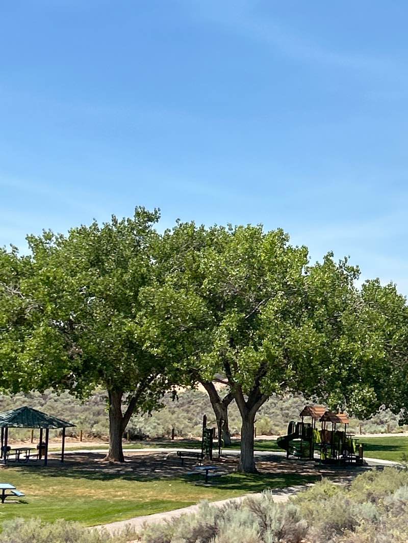 walking near me in Trail Head Park in summer