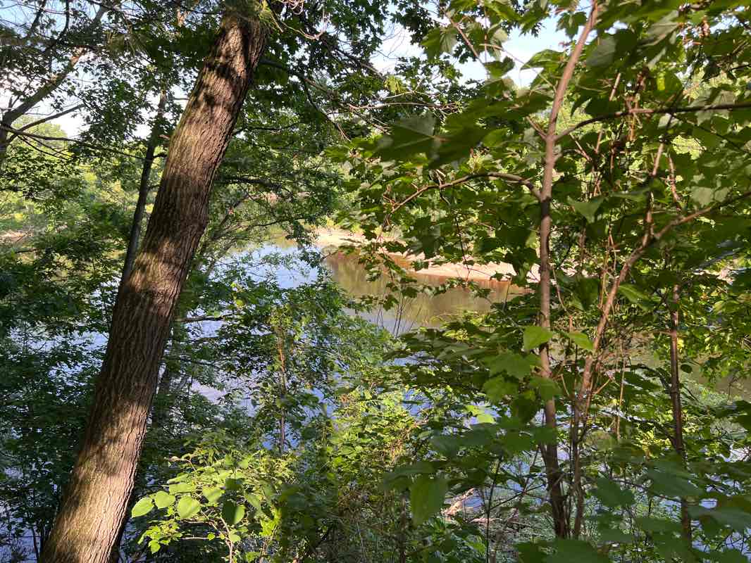 walking near me in Field of Honor Veterans Memoria in winter