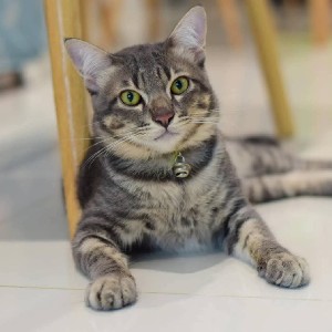 20234078 - ภูวนาถ icon