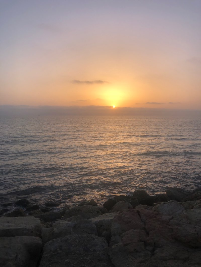 walking near me in Gan Hazikaron in winter