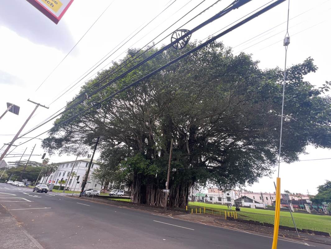 walking near me in Kalakaua Park in winter