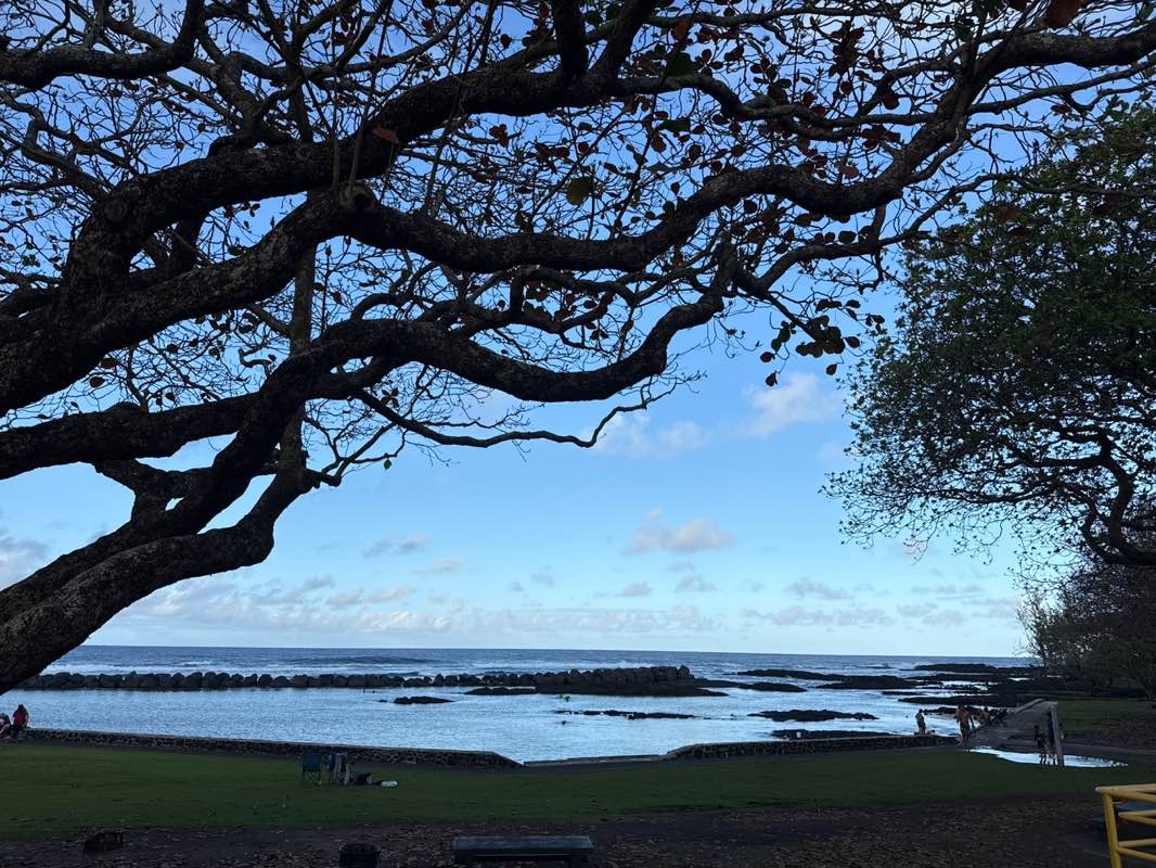 walking near me in Onekahakaha Beach Park in winter