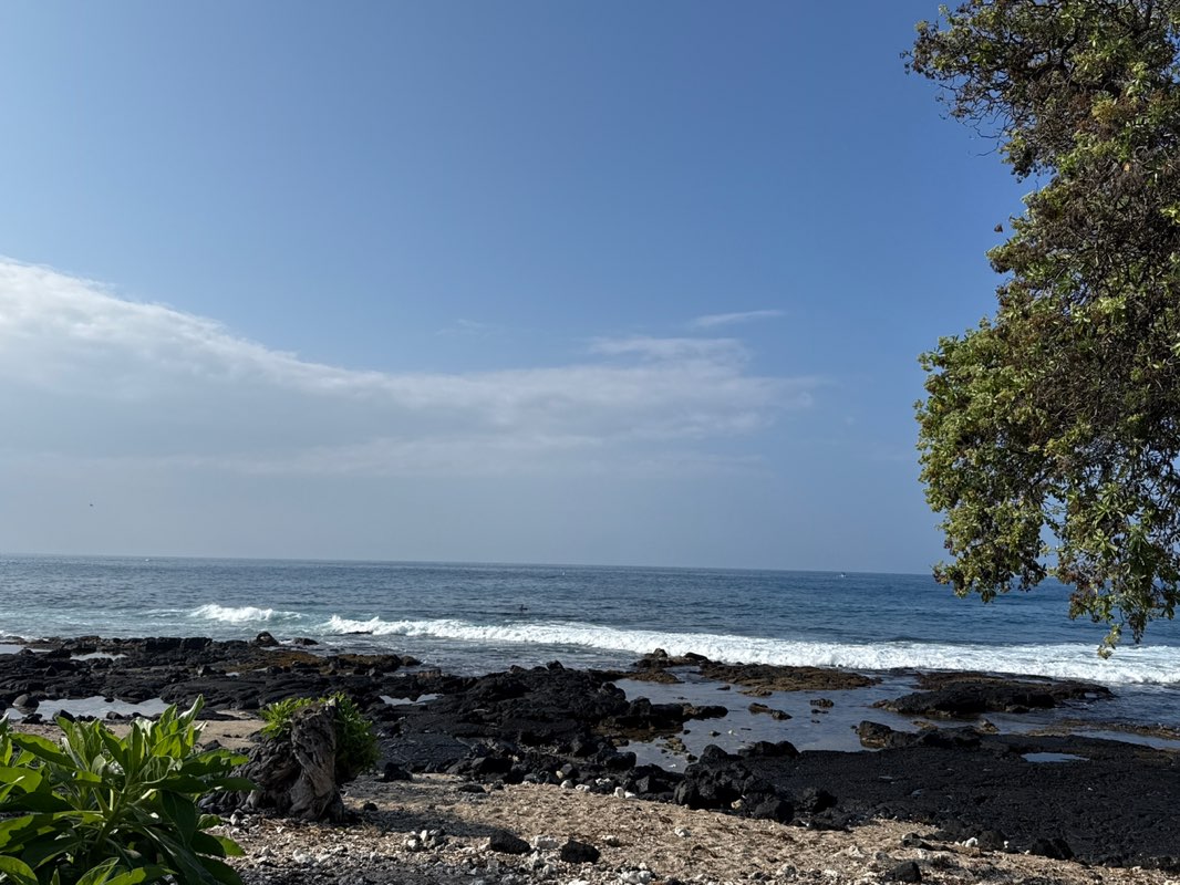 walking near me in Hale Hālāwai in spring
