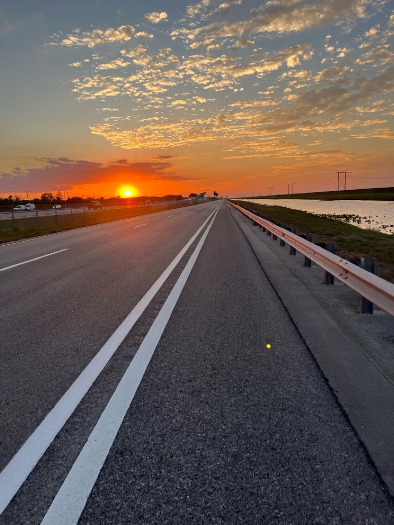 walking near me in Library Park in spring