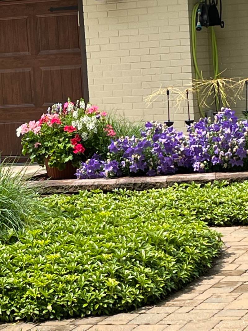 walking near me in Longacres Park in winter