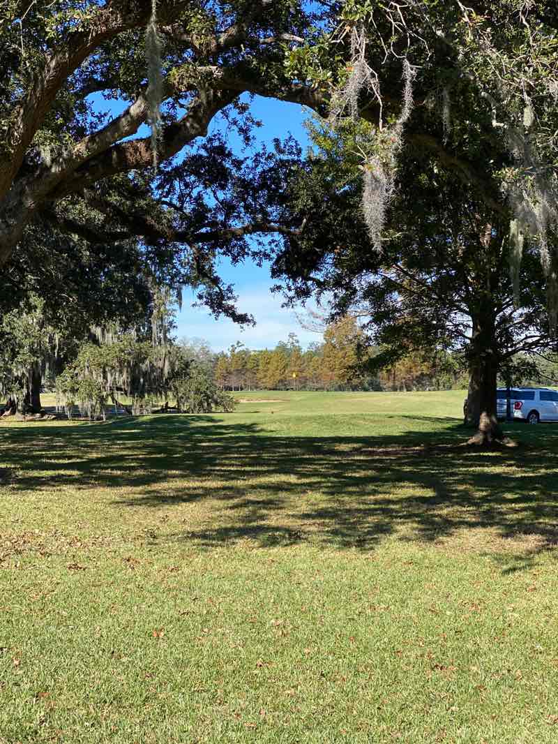 walking near me in Audubon Park in autumn