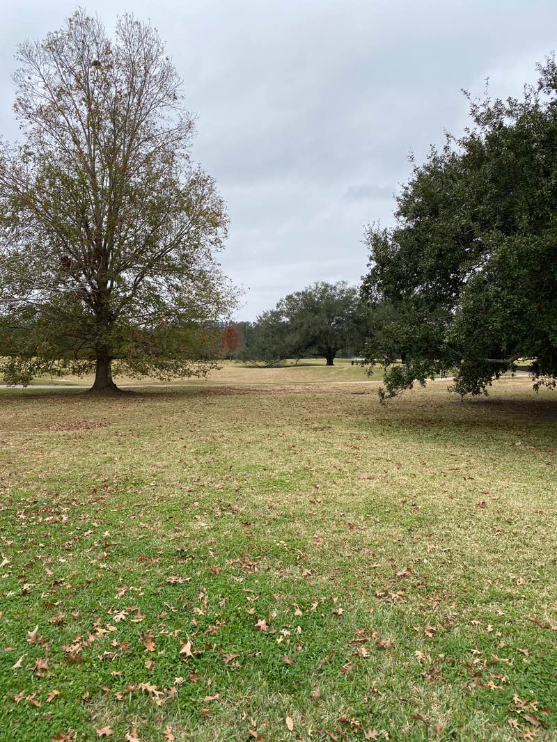 walking near me in Audubon Park in winter