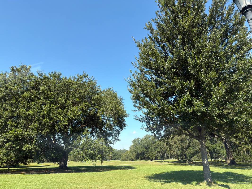 walking near me in Audubon Park in autumn