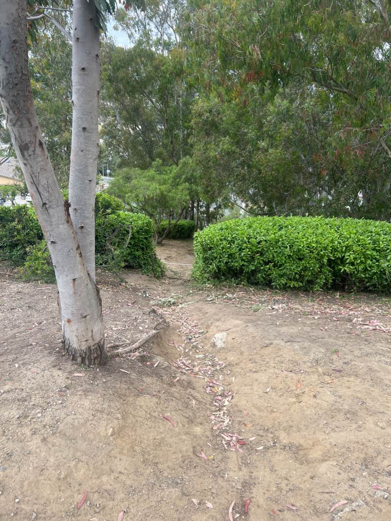 walking near me in Hilltop Park in winter