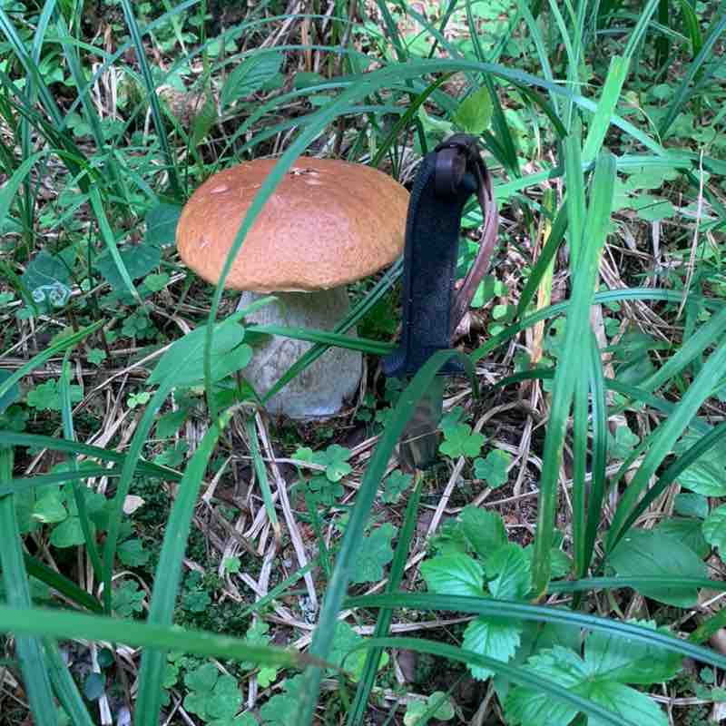 Виталий 🐯 post 2