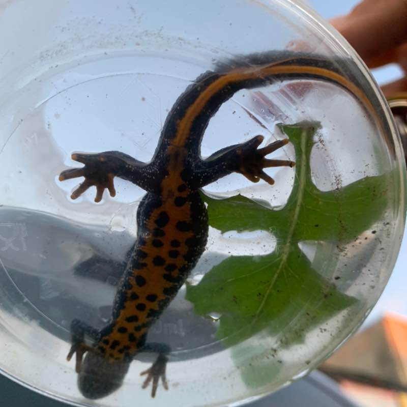 Виталий 🐯 post 1