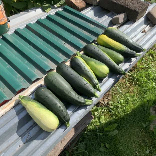 Виталий 🐯 post 2