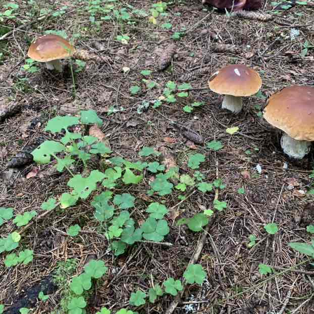 Виталий 🐯 post 3