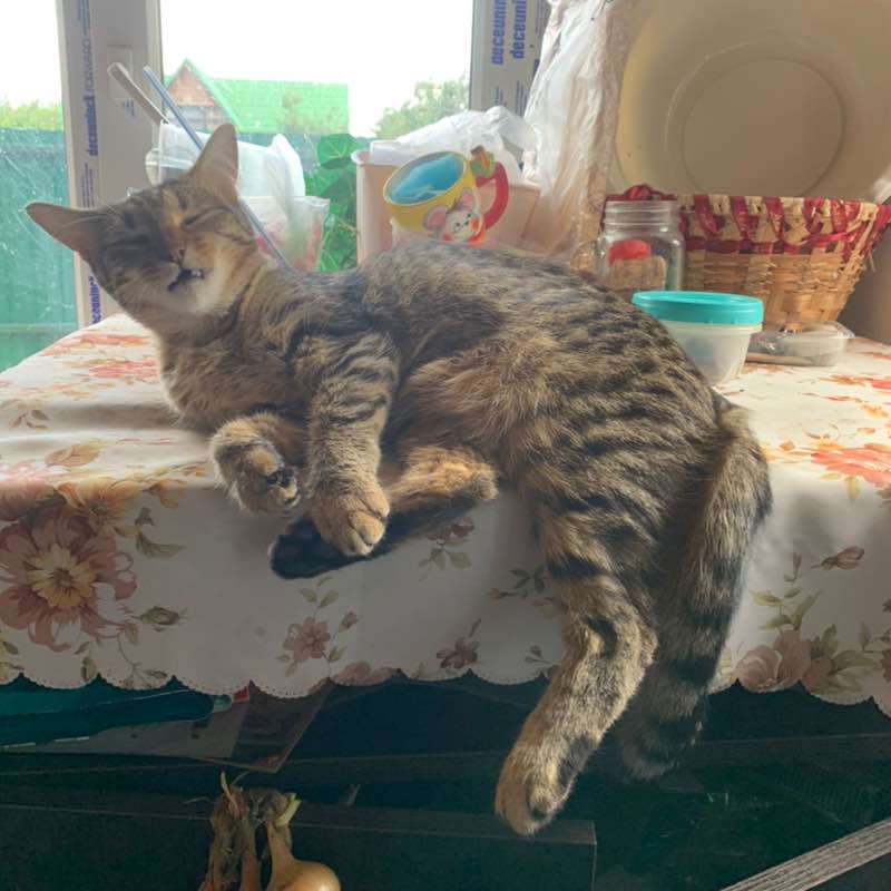 Виталий 🐯 post 3