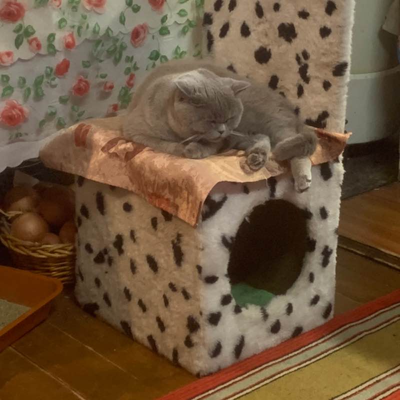 Виталий 🐯 post 3