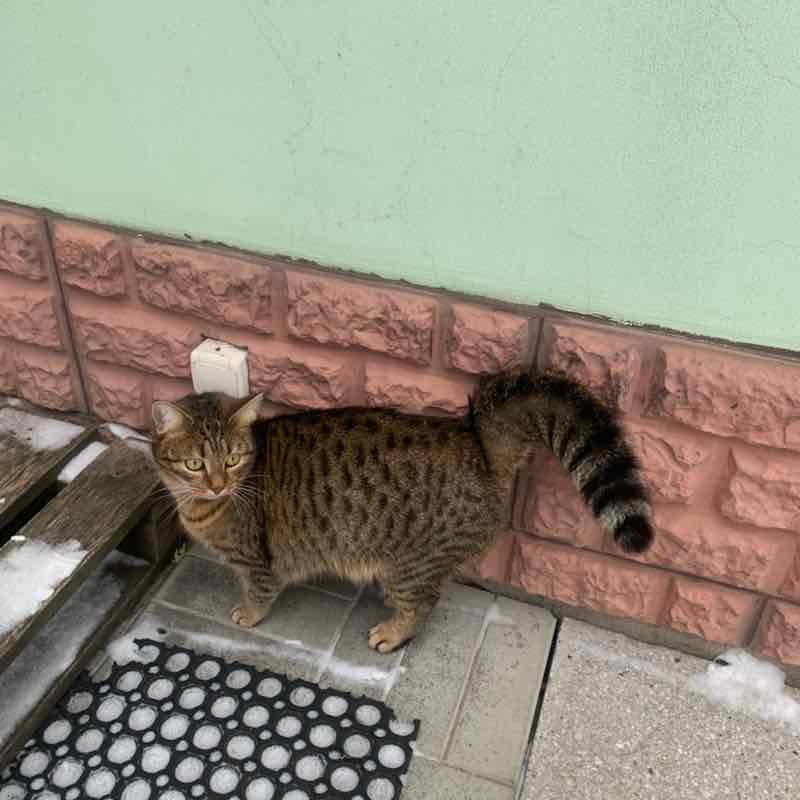 Виталий 🐯 post 2