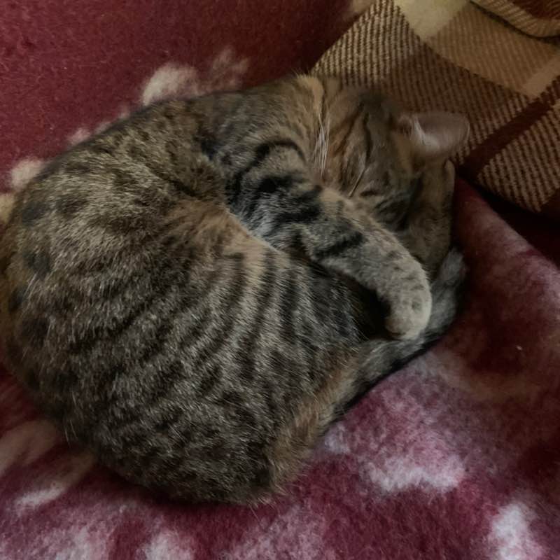 Виталий 🐯 post 2