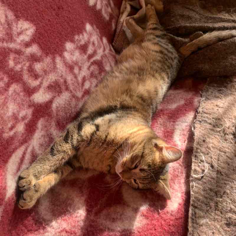 Виталий 🐯 post 1