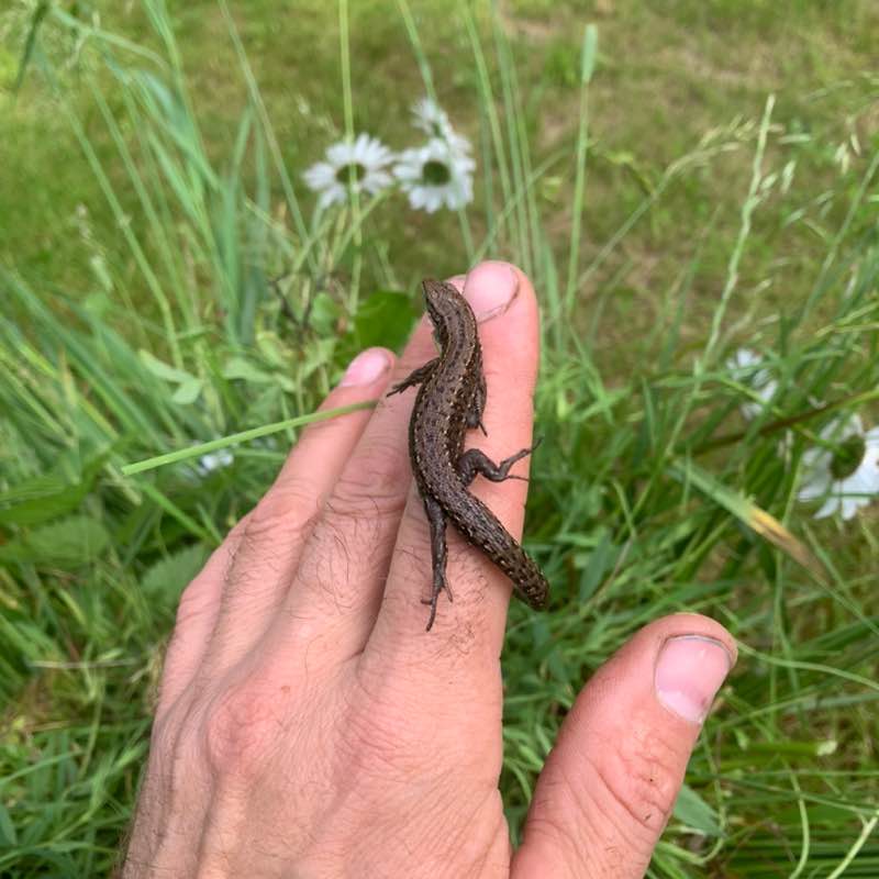 Виталий 🐯 post 2