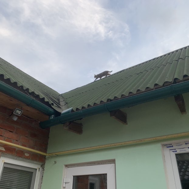 Виталий 🐯 post 3