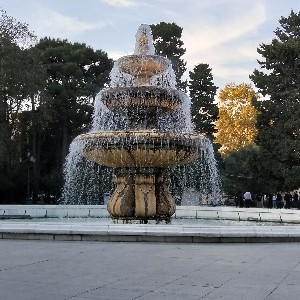 Mirza Taghiyev profile