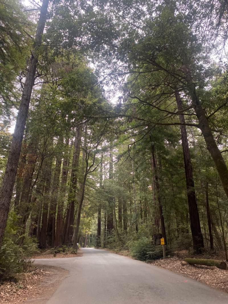 walking near me in Memorial County Park in winter