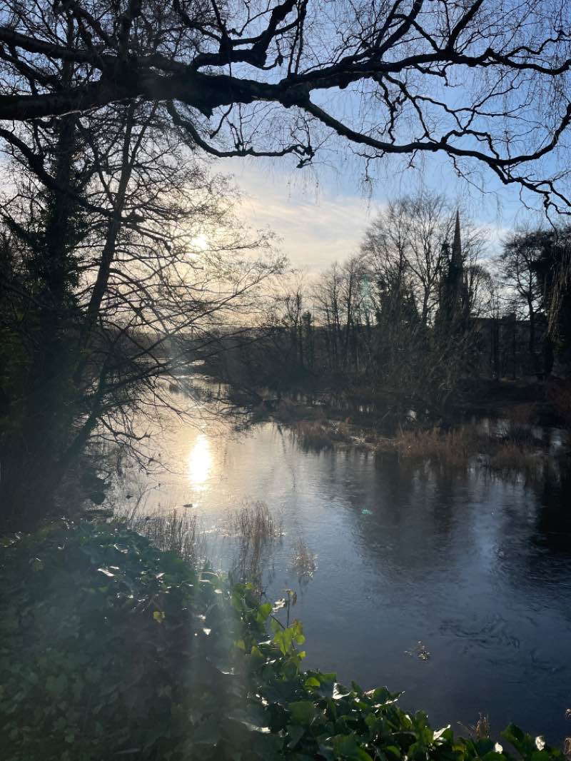 walking near me in Norie-Miller Park in winter